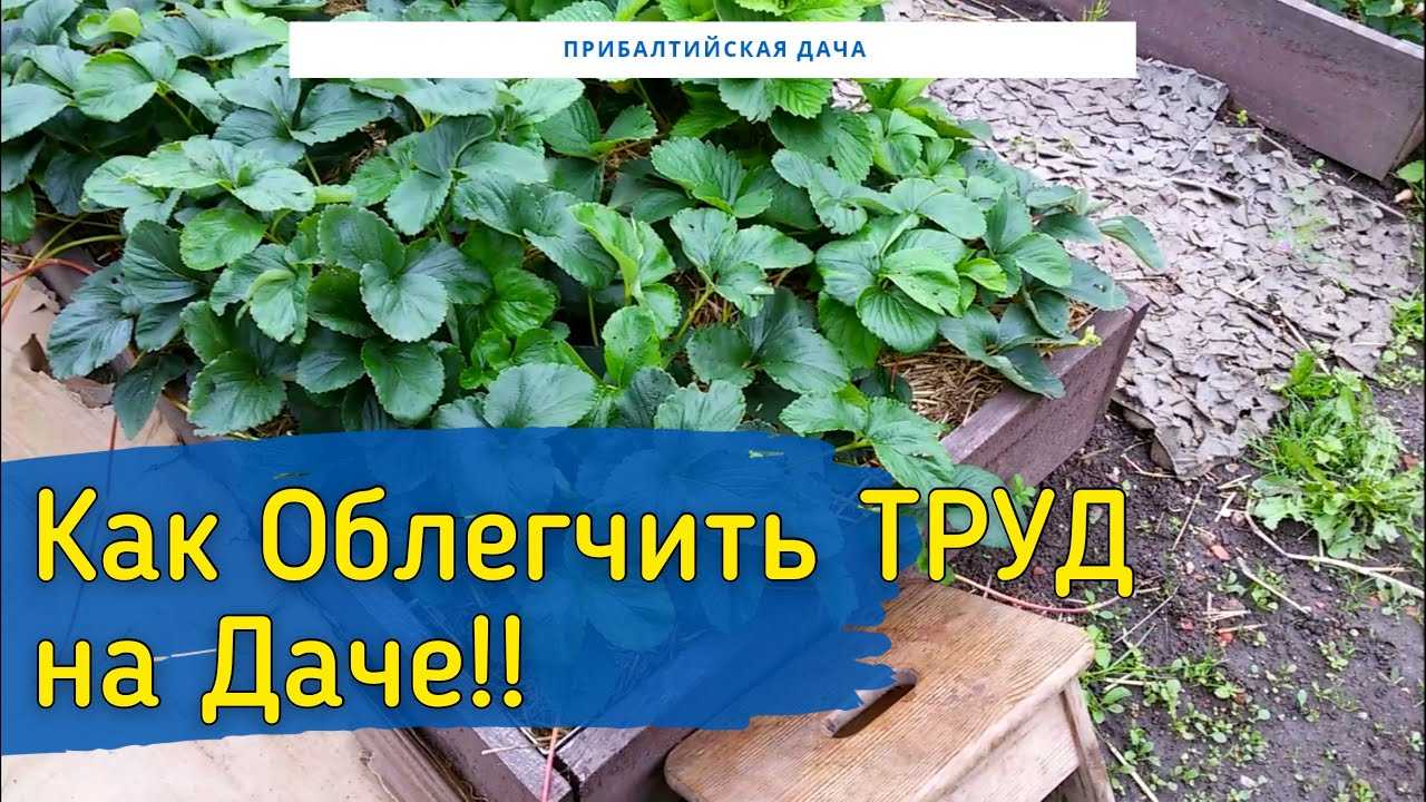 Дачные хитрости, о которых должен знать каждый садовод