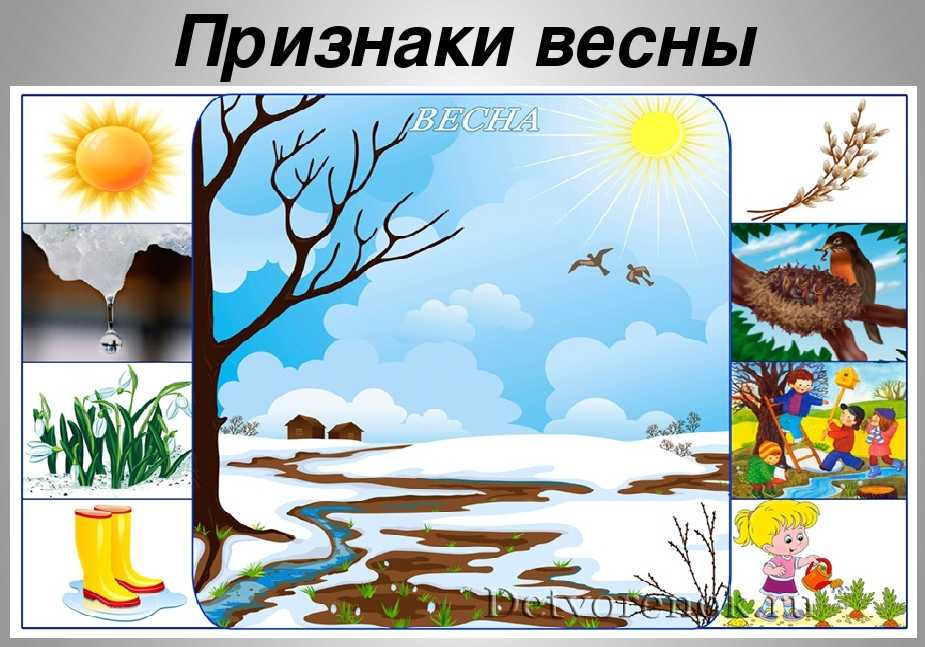 Весна признаки весны картинки для детей