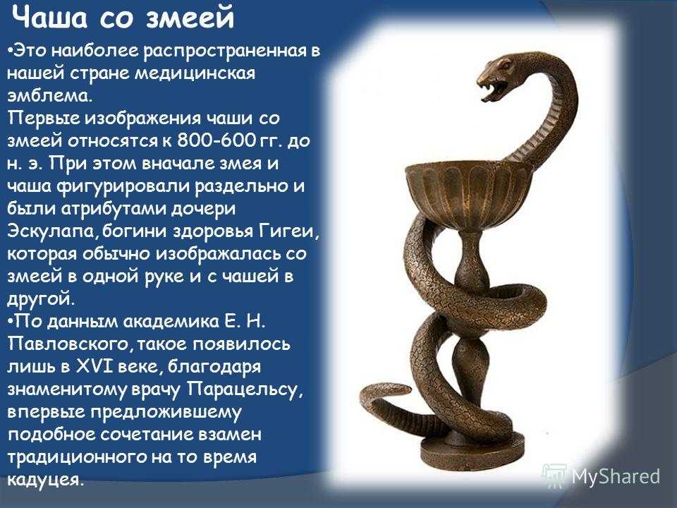 Змея значение символа. Чаша Гигеи и посох Асклепия. Чаша со змеей. Медицинская эмблема чаша со змеей. Асклепия – чаша со змеей.