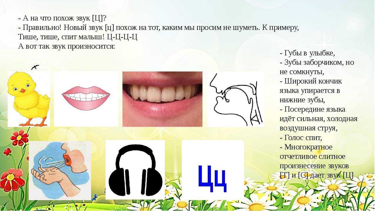 Постановка «с» и «3»: этапы, эффективные способы, упражнения | вся logoпедия