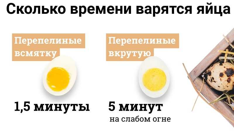 Сколько варить перепелиные яйца для цезаря