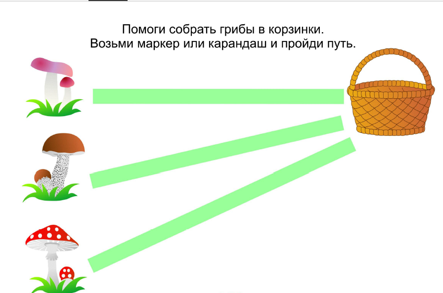 Детям о грибах – грибные картинки и рассказы