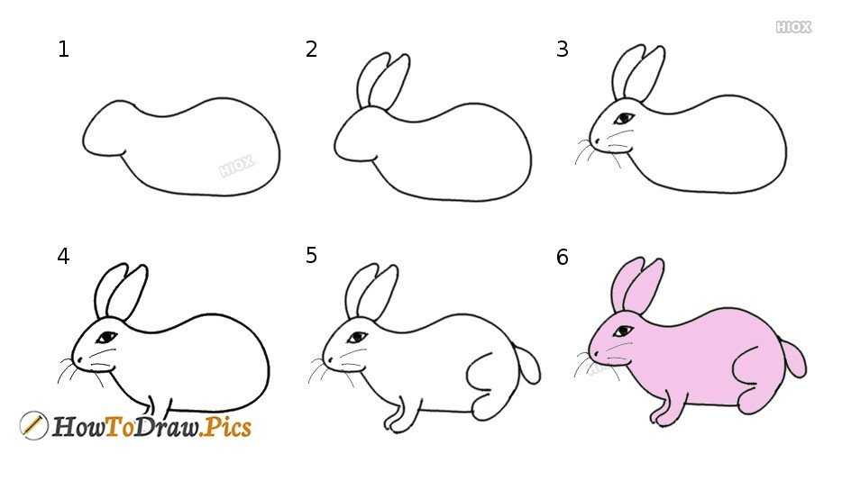 Рисунок кролик, для детей, по клеточкам, карандашом, поэтапно, в детский сад, в школу