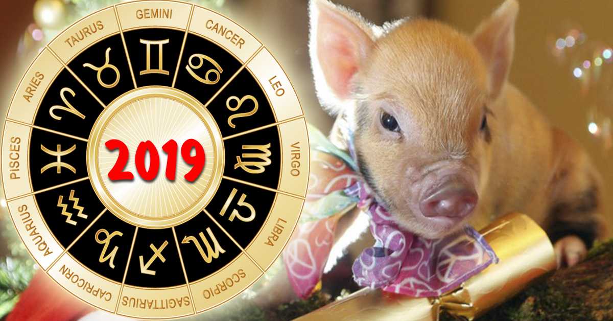 Как встречать новый 2019 год: что одеть, что готовить, чего ждать