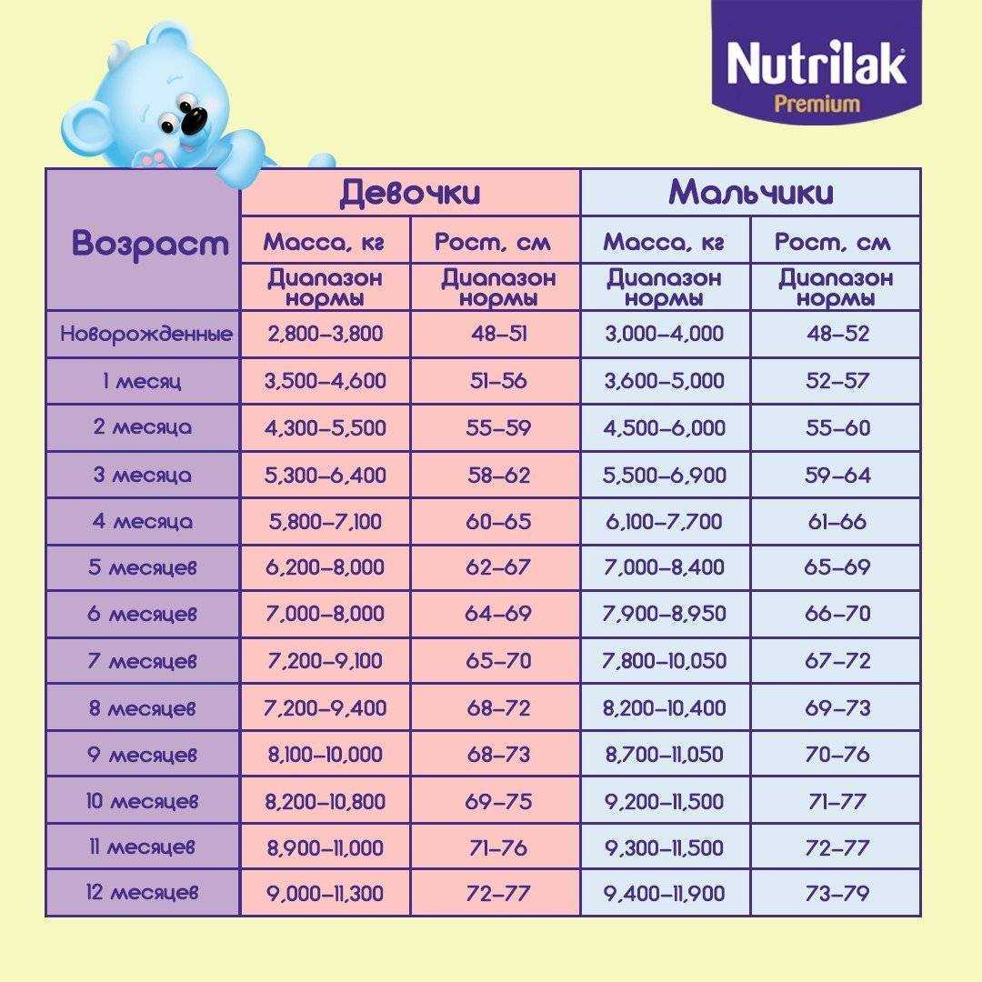 Развитие ребенка в возрасте 1–3 года