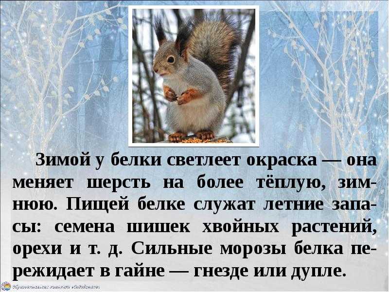 Рассказы для детей о школе